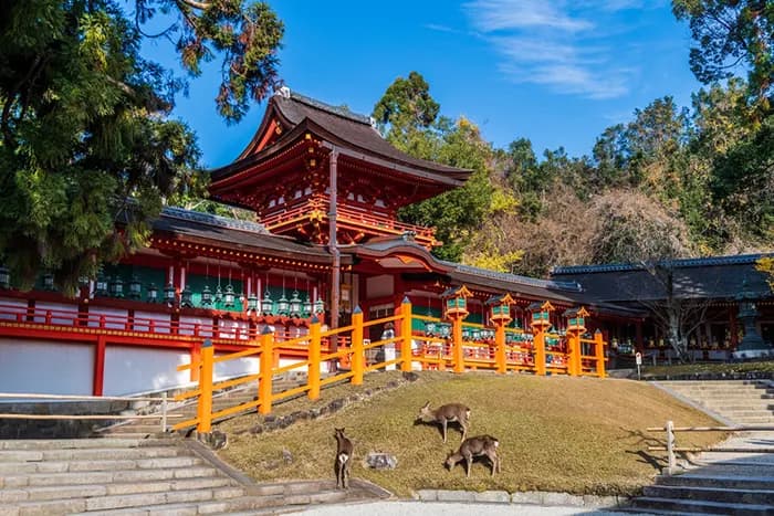 ELEGANT JAPAN & SOUTH KOREA with Qatar Airlines, 7 Nights, photo 1