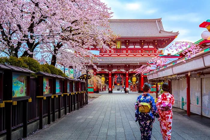 ELEGANT JAPAN & SOUTH KOREA with Turkish Airlines, 9 Nights, photo 1
