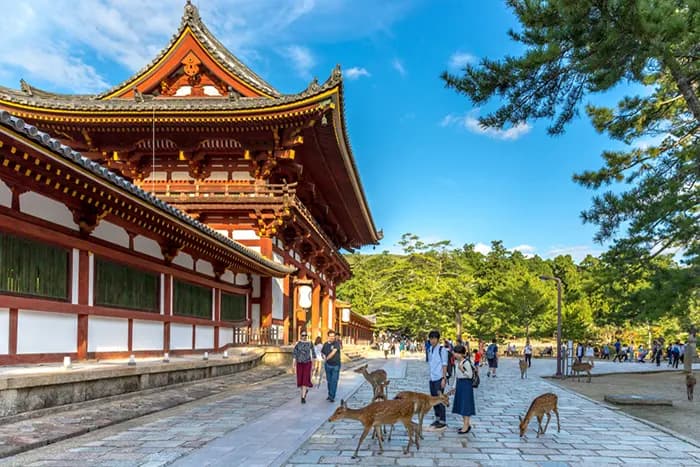 ELEGANT JAPONYA & GÜNEY KORE Qatar Hava Yolları ile 9 Gece, fotoğraf 1
